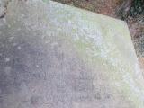 image of grave number 583797